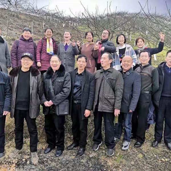 银白色的北极花族