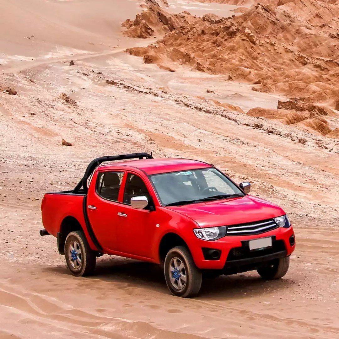 爱吃焖牛小排的甜橙