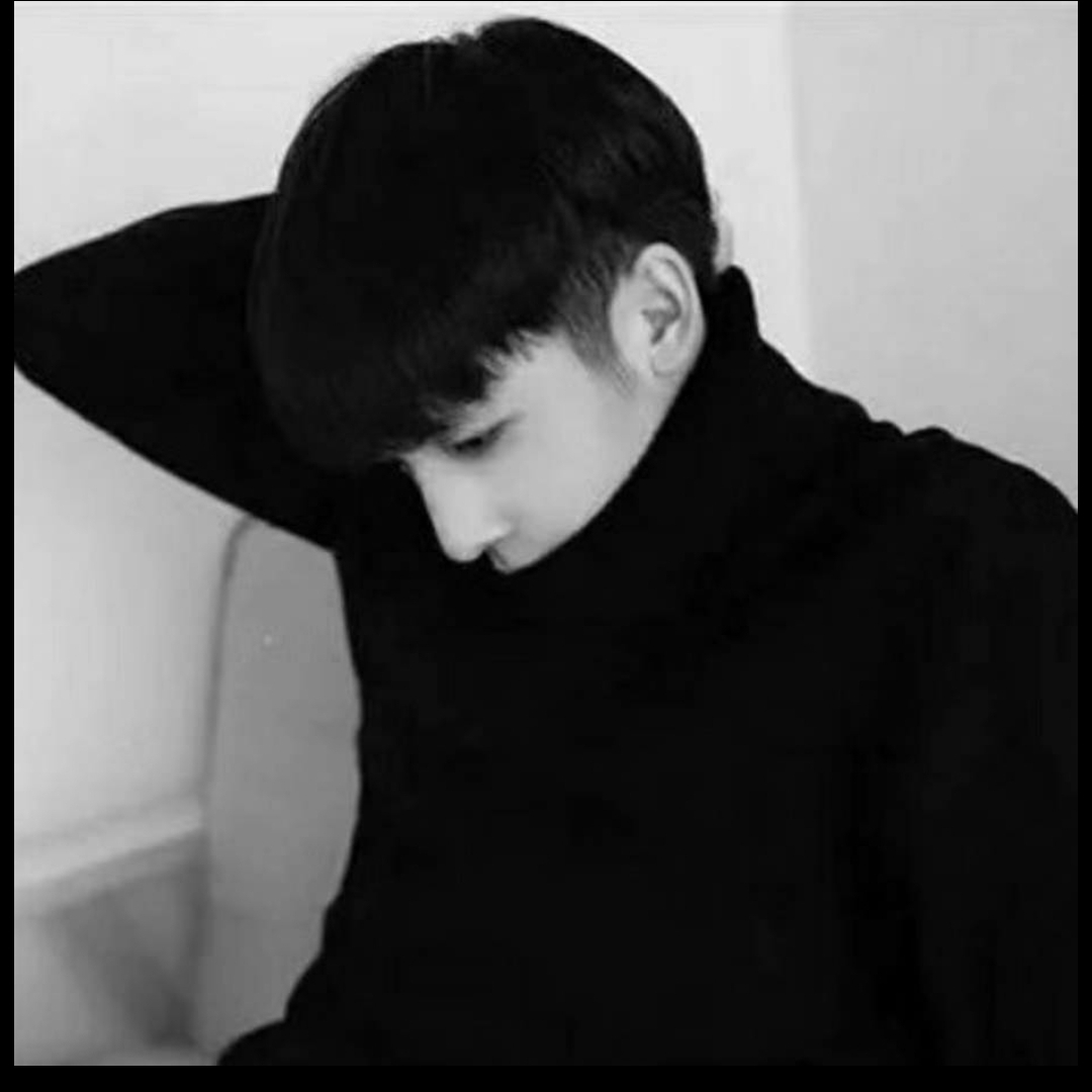 在南极看北极熊