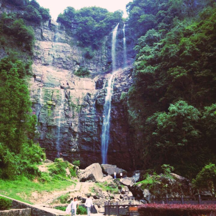 小扇轻摇墨荷香