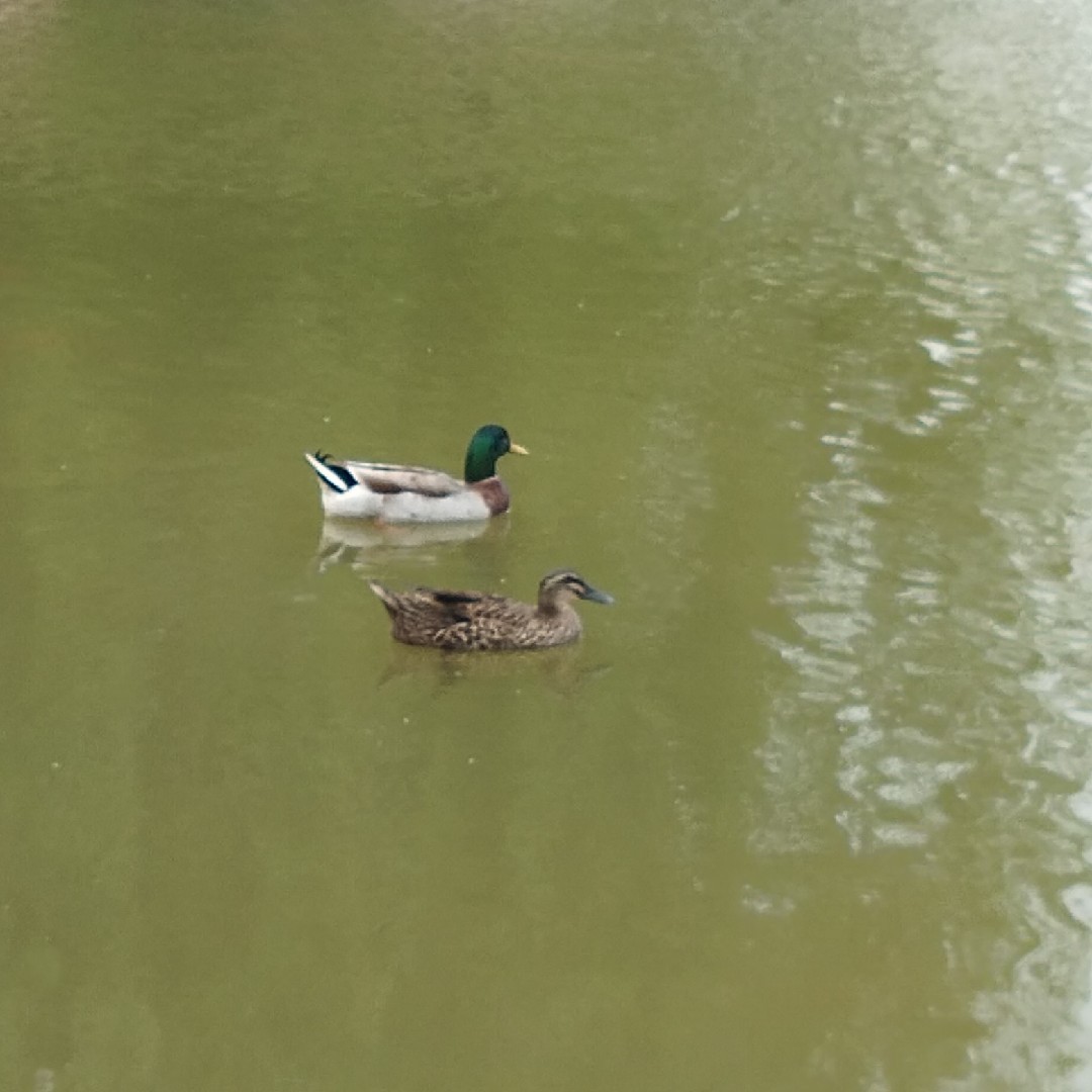 一生一世一辈子