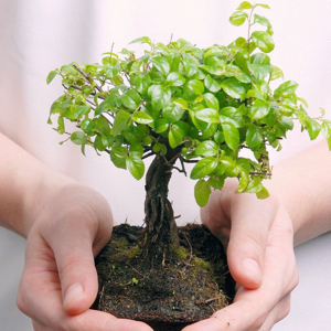 努力优秀的长卿80