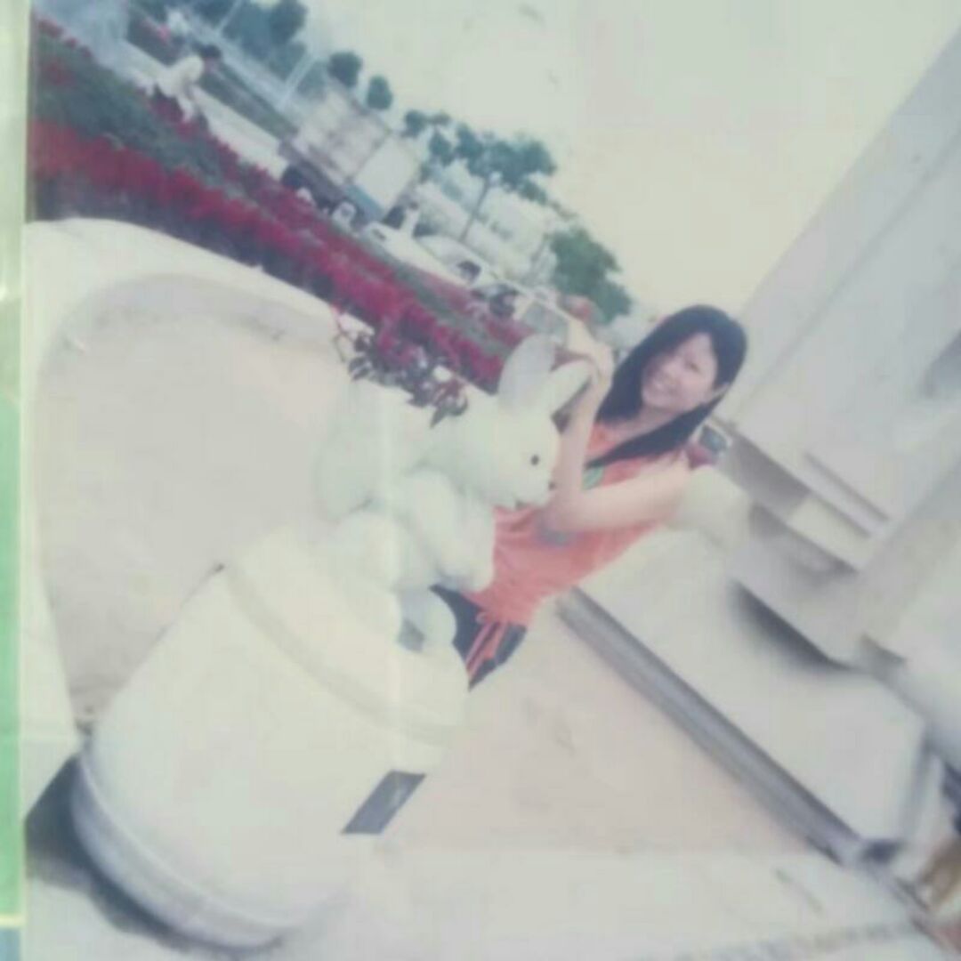 梦想飞天的毛毛虫