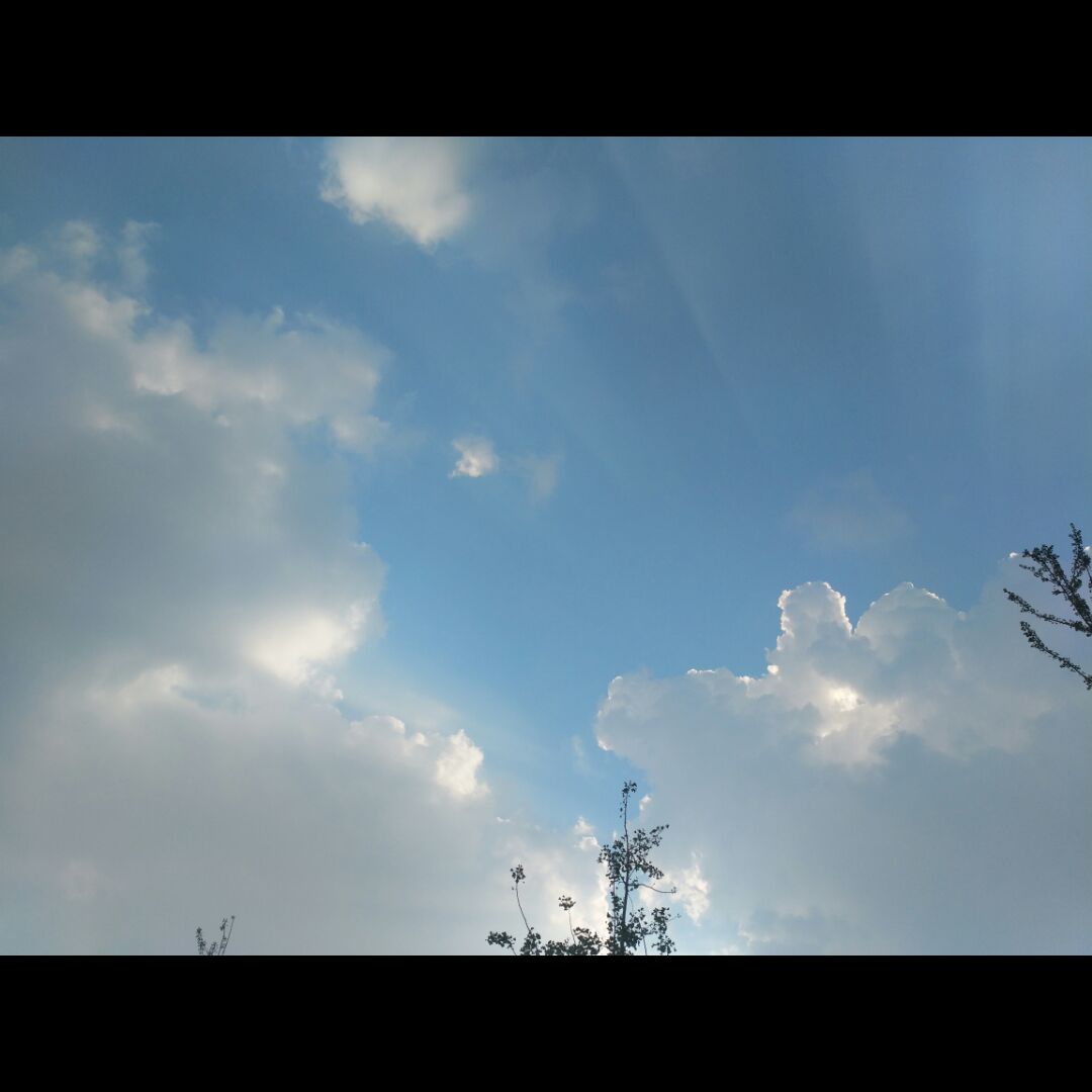 爱与被爱相互冲突