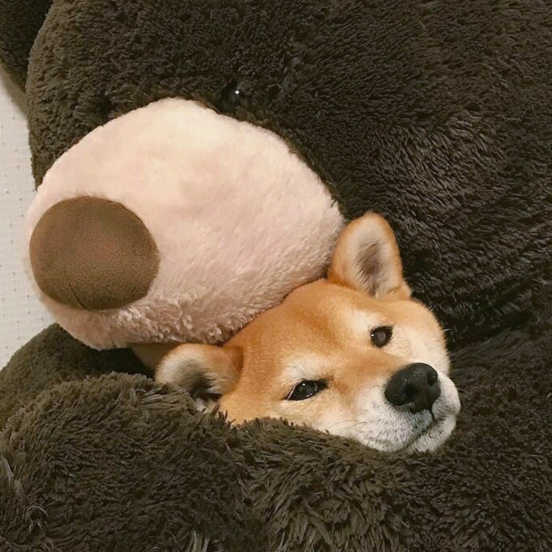 这软件啥都要钱