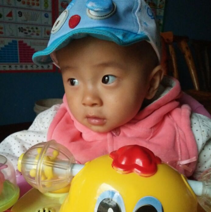 爱吃三元烧鸡的布鲁斯8_