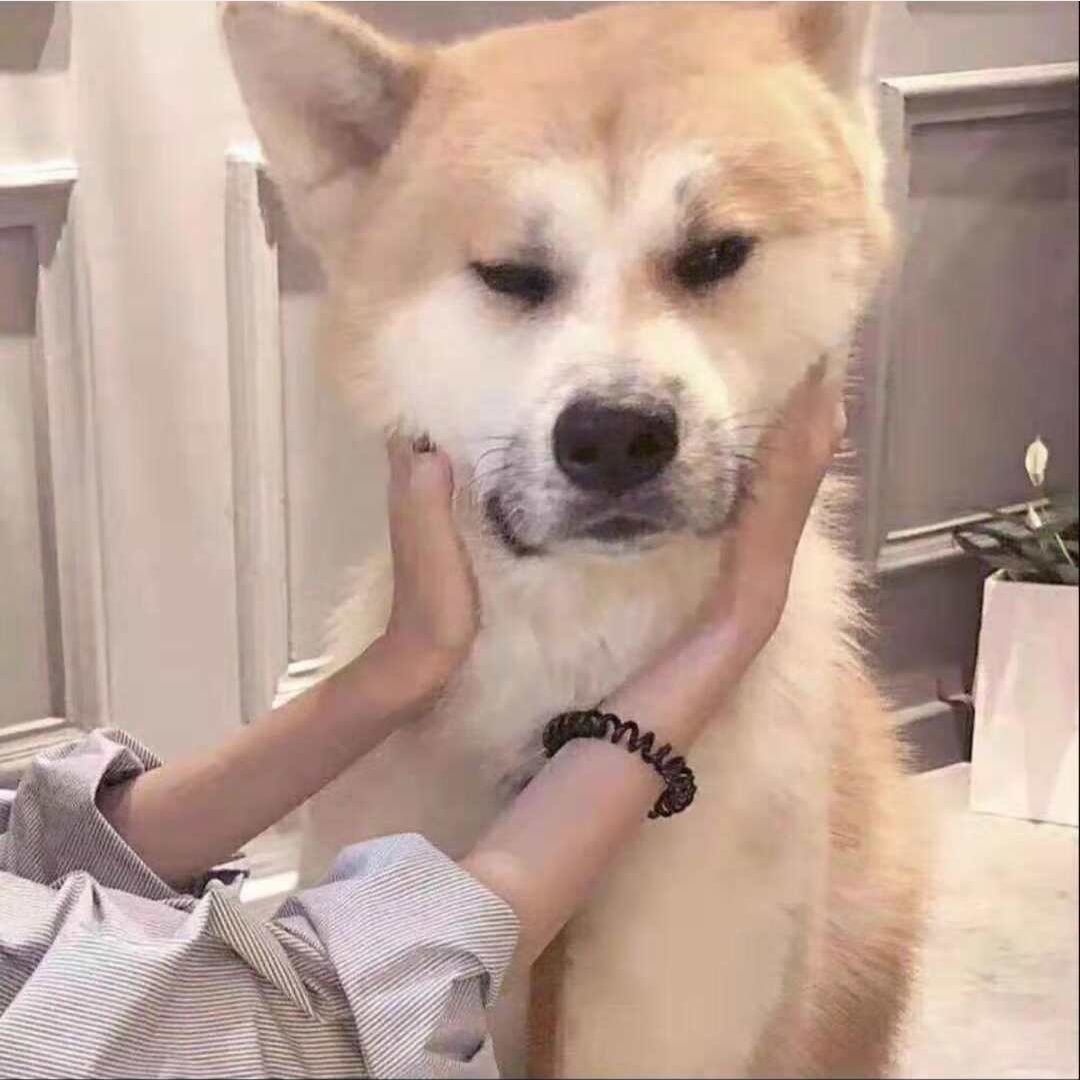 爱吃东北拉皮的复读机