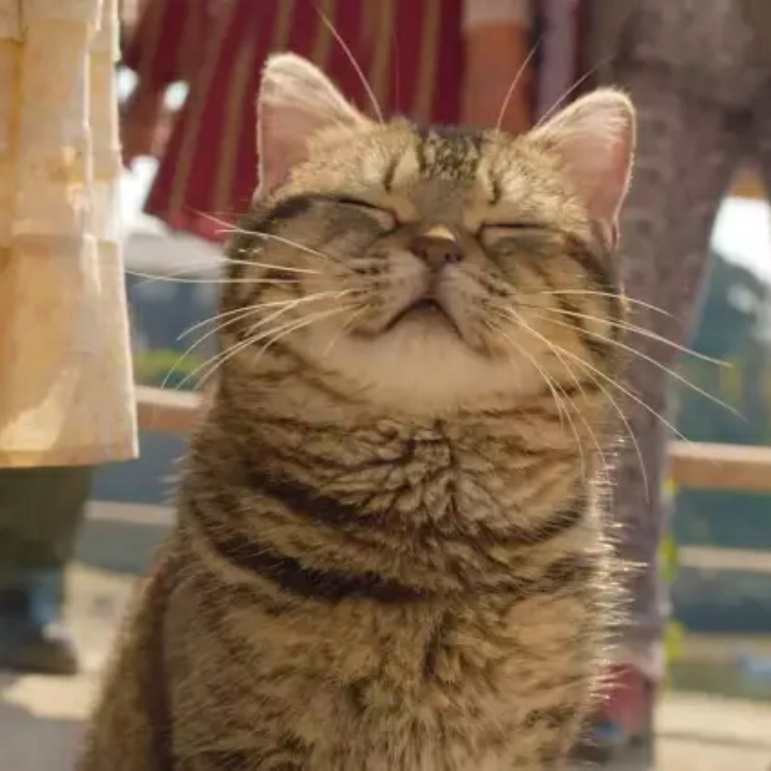 皮皮虾爱工作妖怪