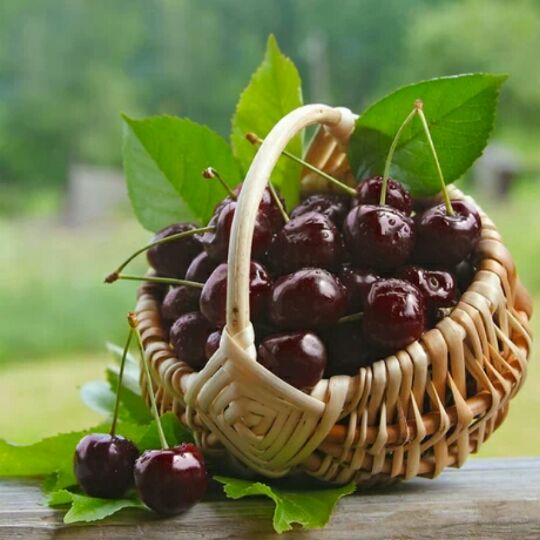 好运连连，财源广进