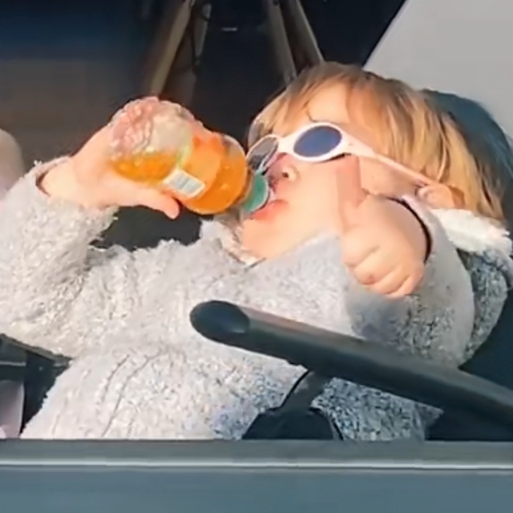 臭屁呆的猪宝贝