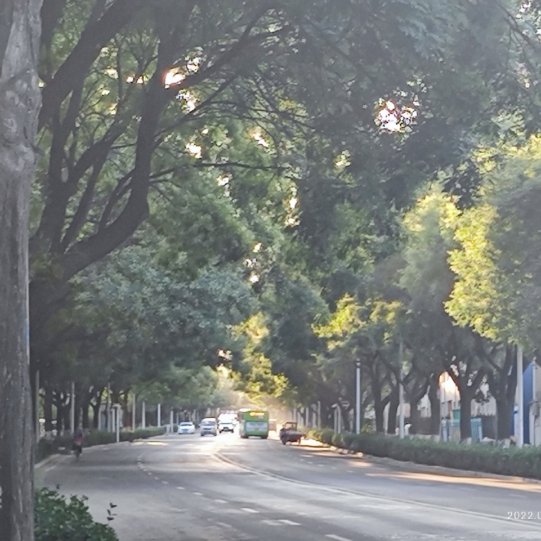 购买与供应关系