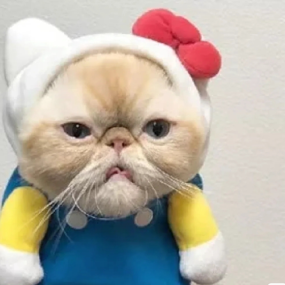 想给你童话般的幸福=_=