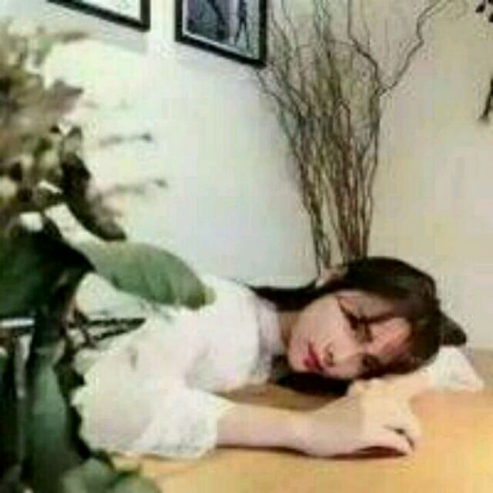 爱吃辣椒花卷的回忆者53