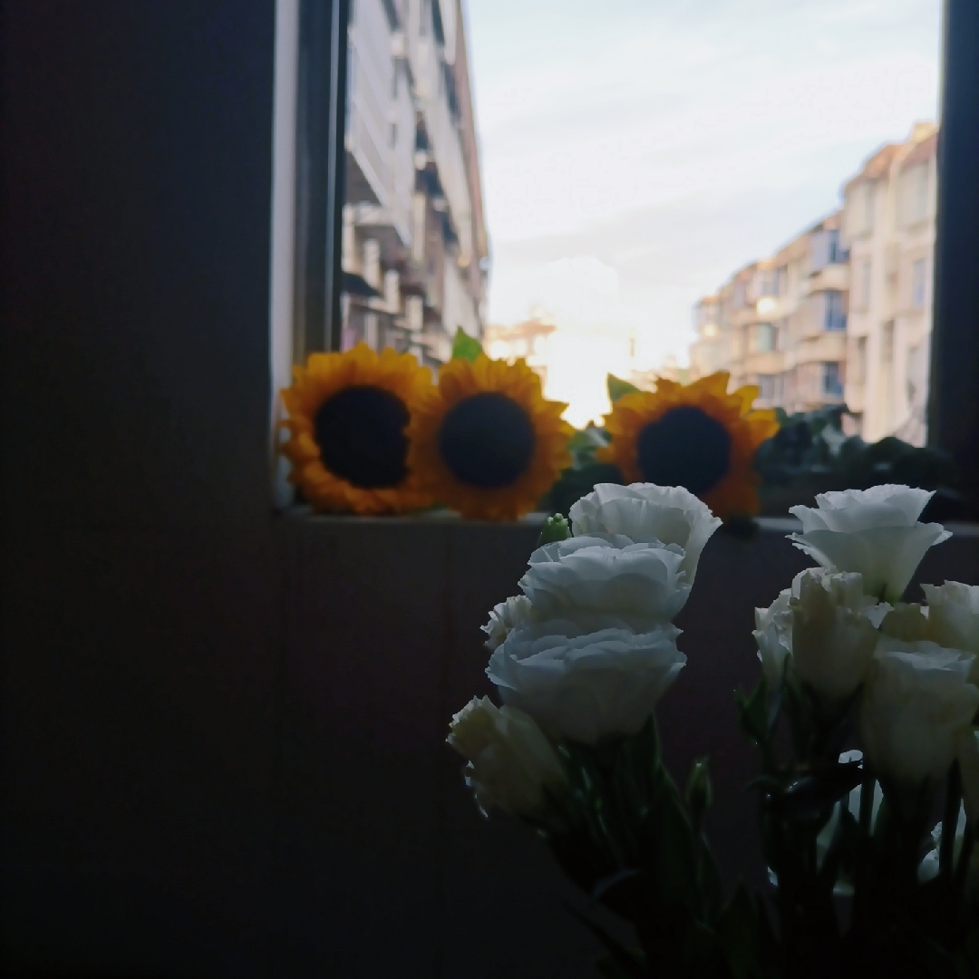 这都什么奇奇怪怪的