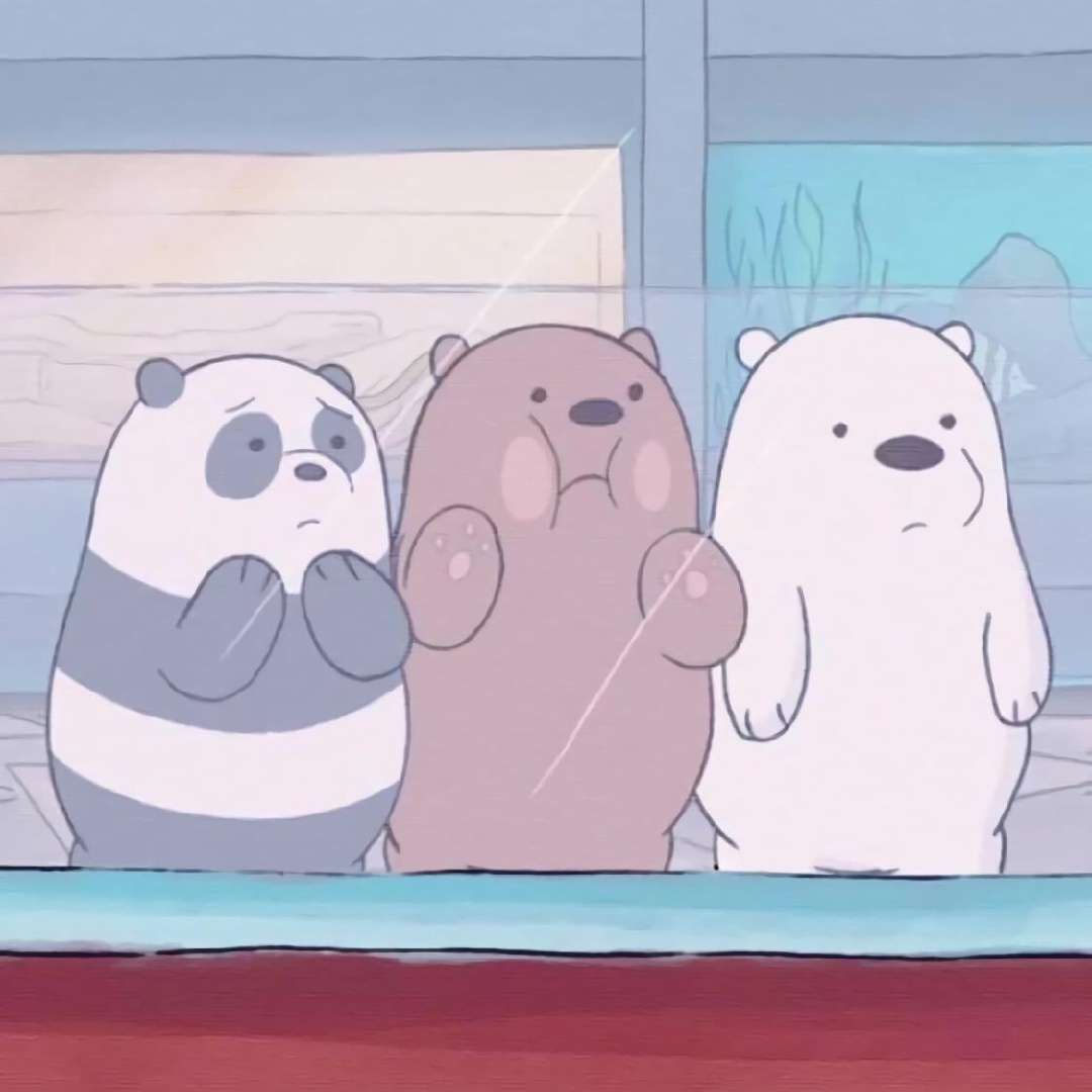 浣熊是个宇航源