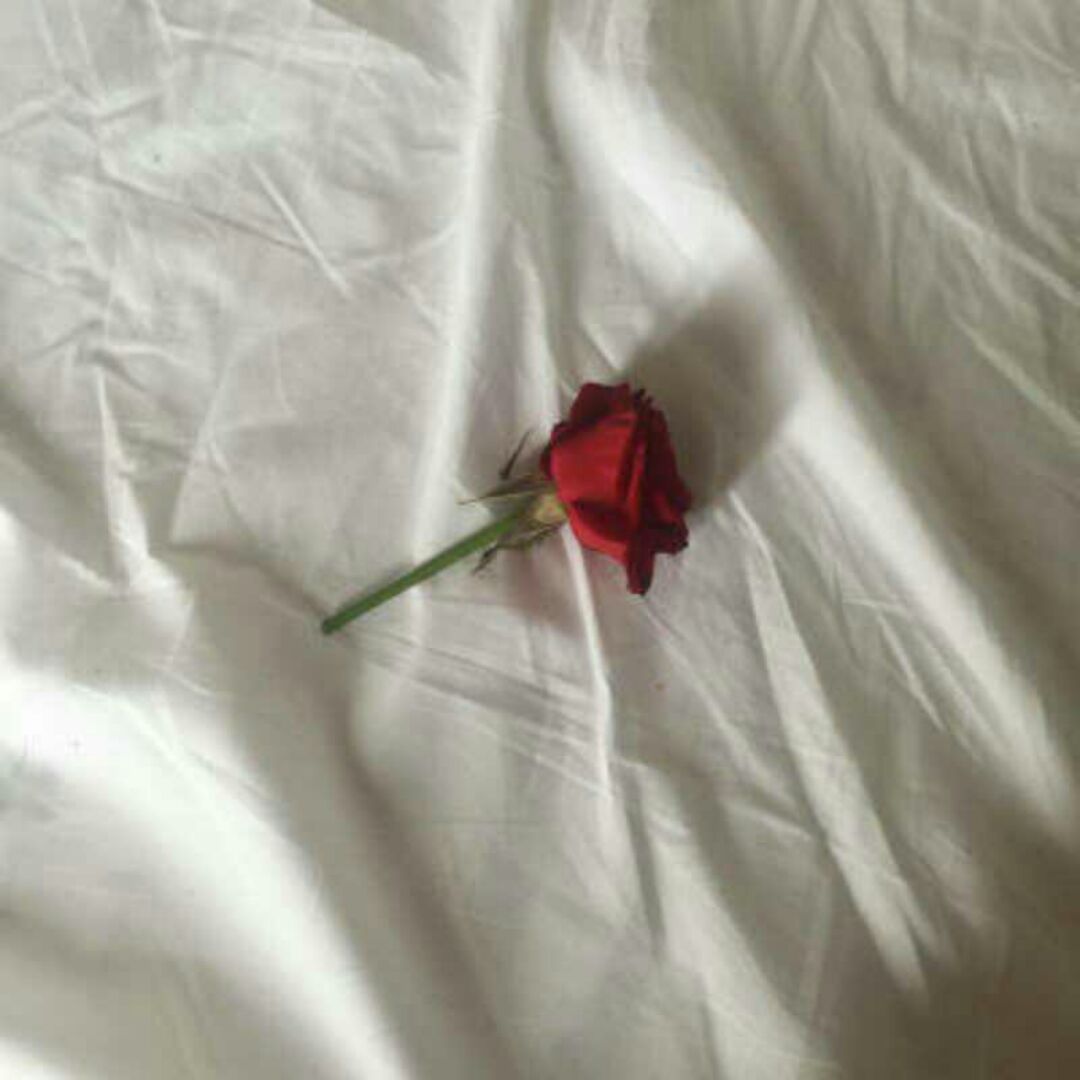 心向善的丿大叔