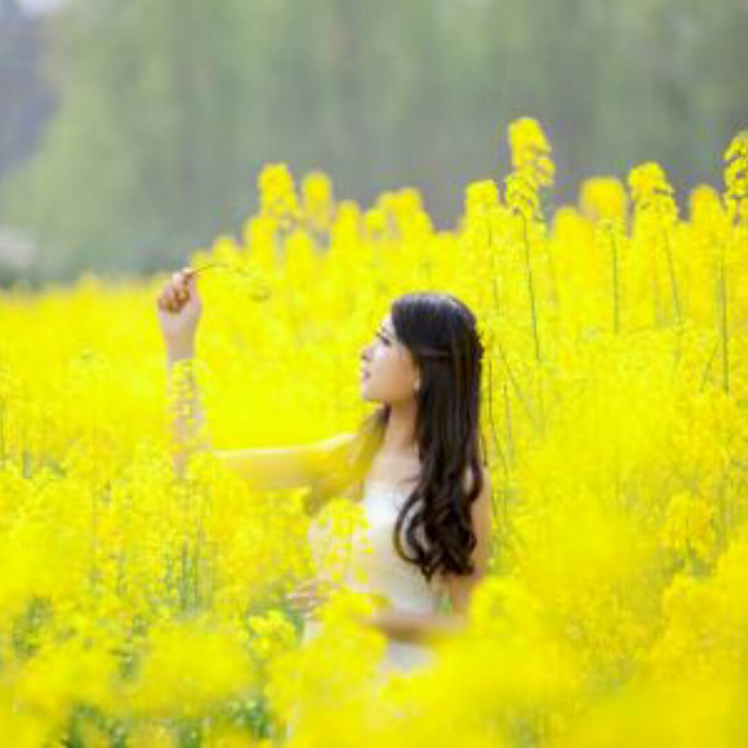 直率的奋斗者96