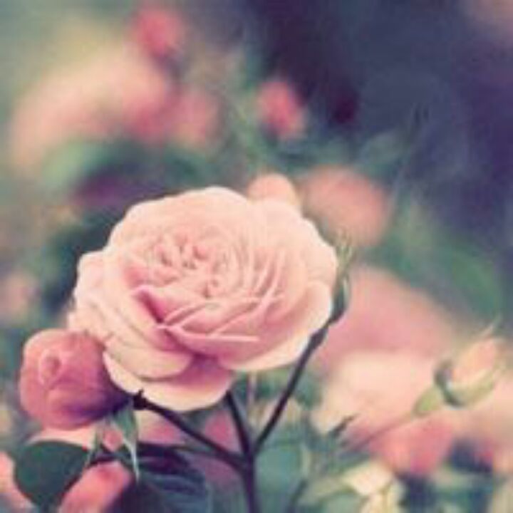 爱吃香烤土豆的土司67