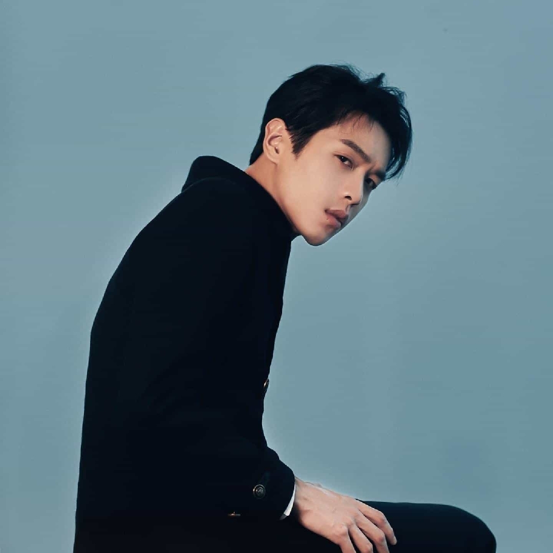 爱吃干吃汤圆的青苹果