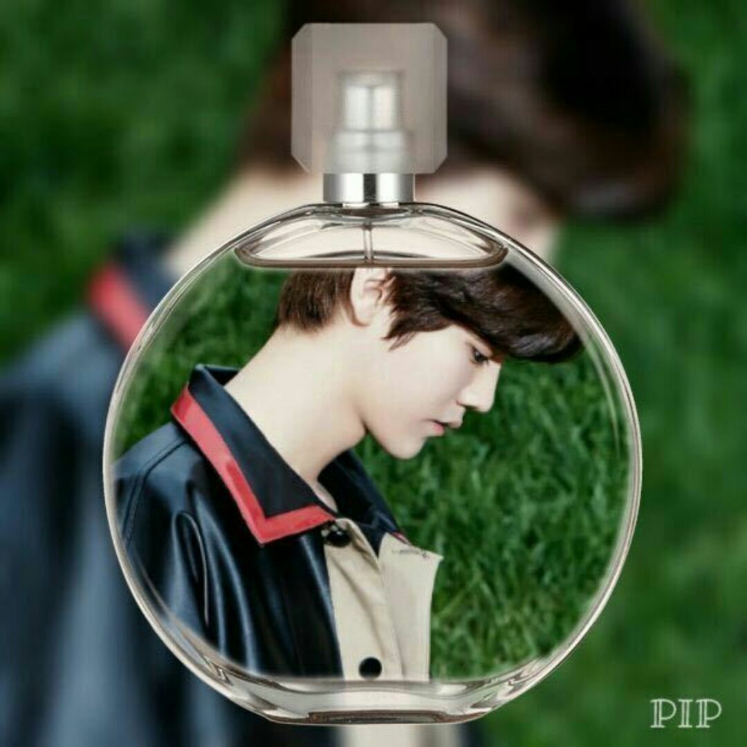 爱吃炒四色的乐乐