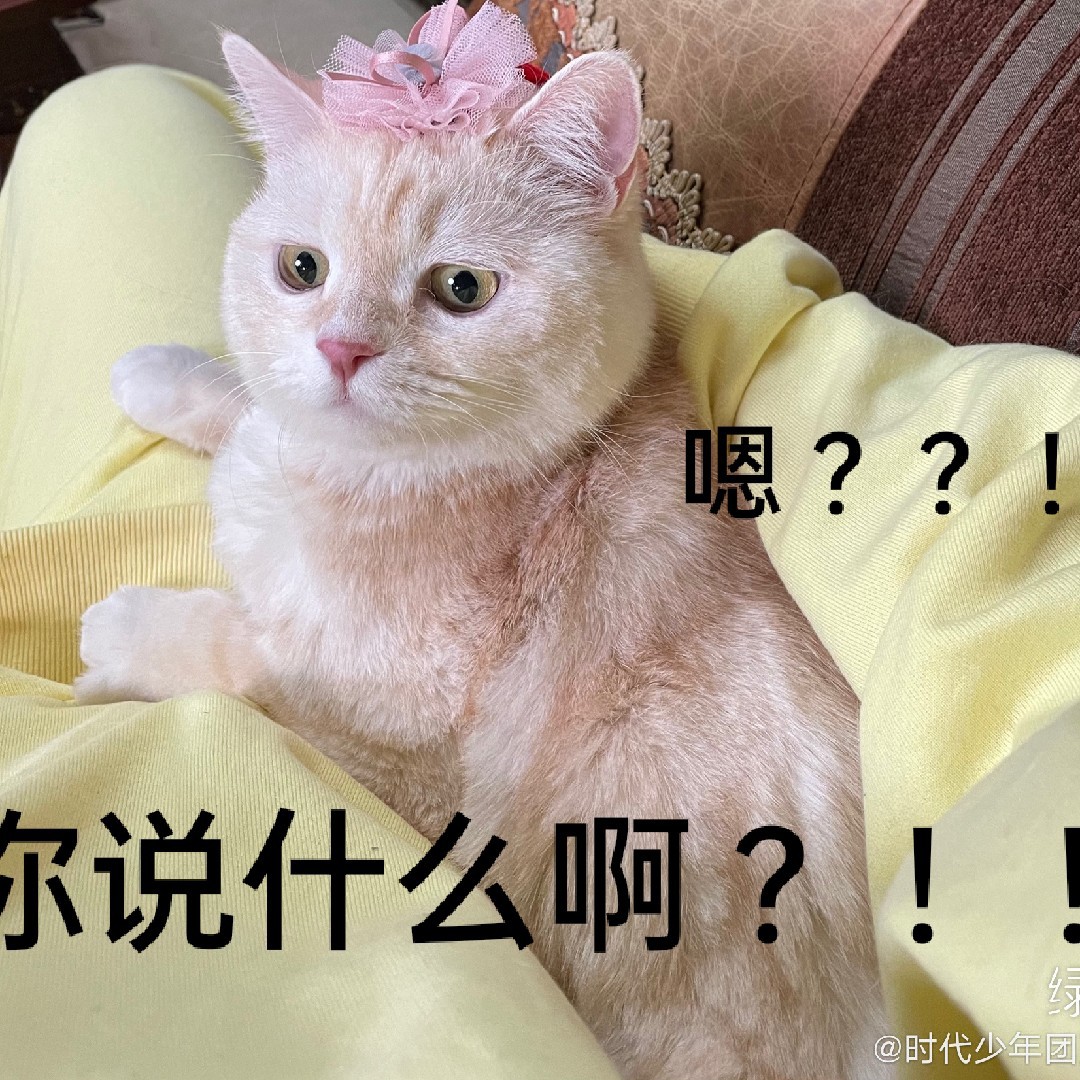 我的奶茶不冰诶