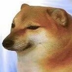 冷酷美男牛旭东