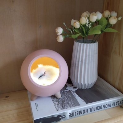 小呆子三三号号更有