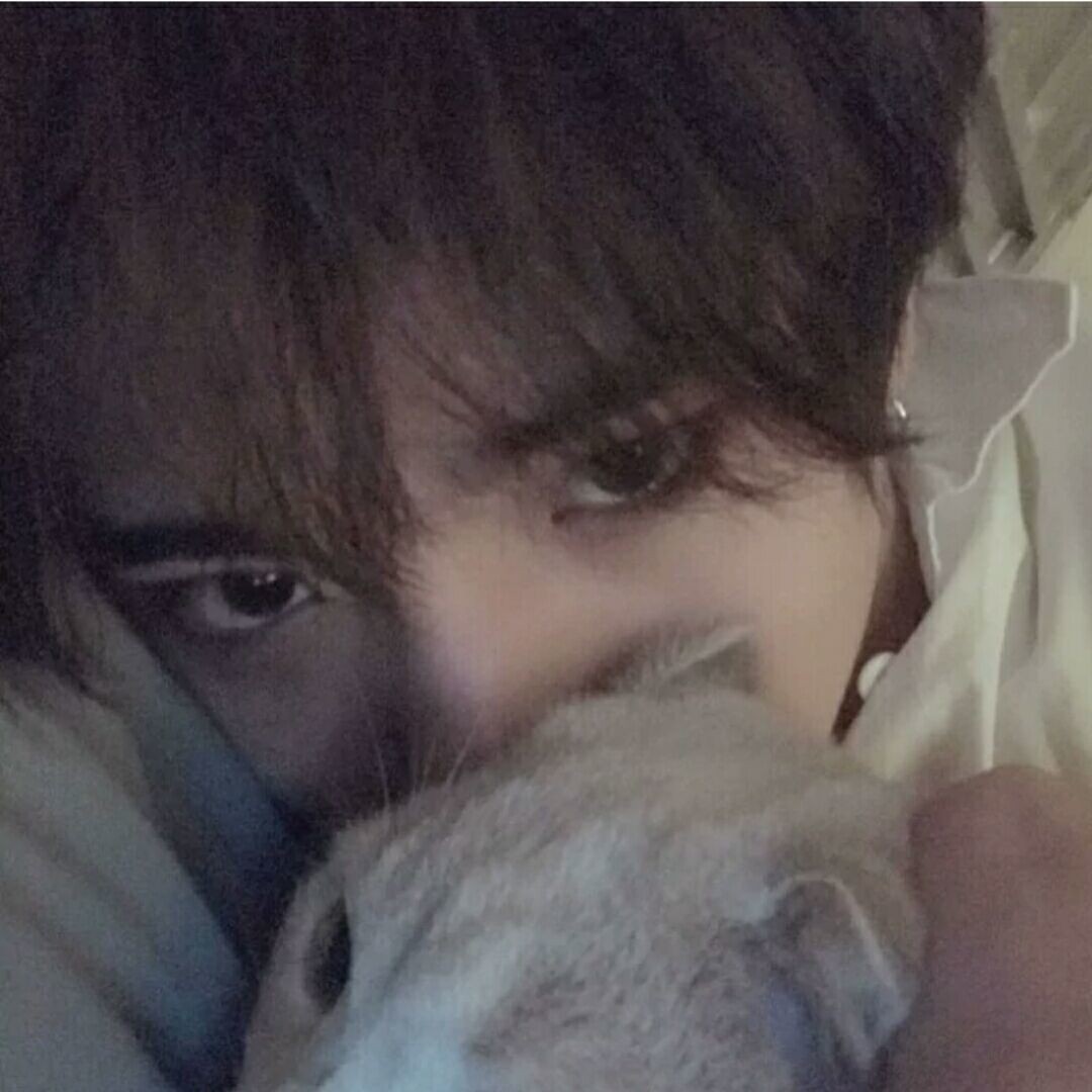 小埋今天不高冷