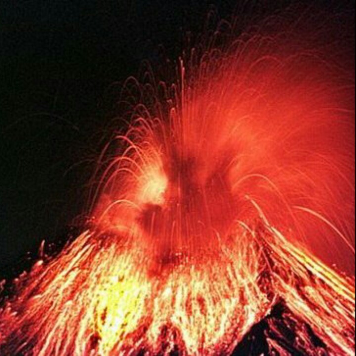 火星巨蟹座元参