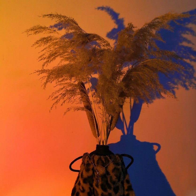 快乐如初淡定如风1