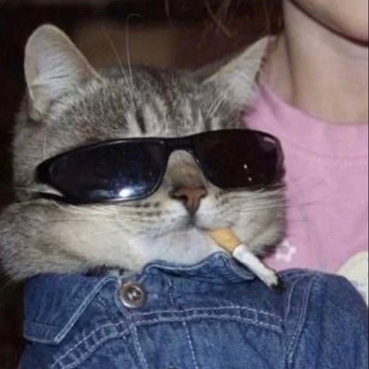 诶呀又没衣服辣