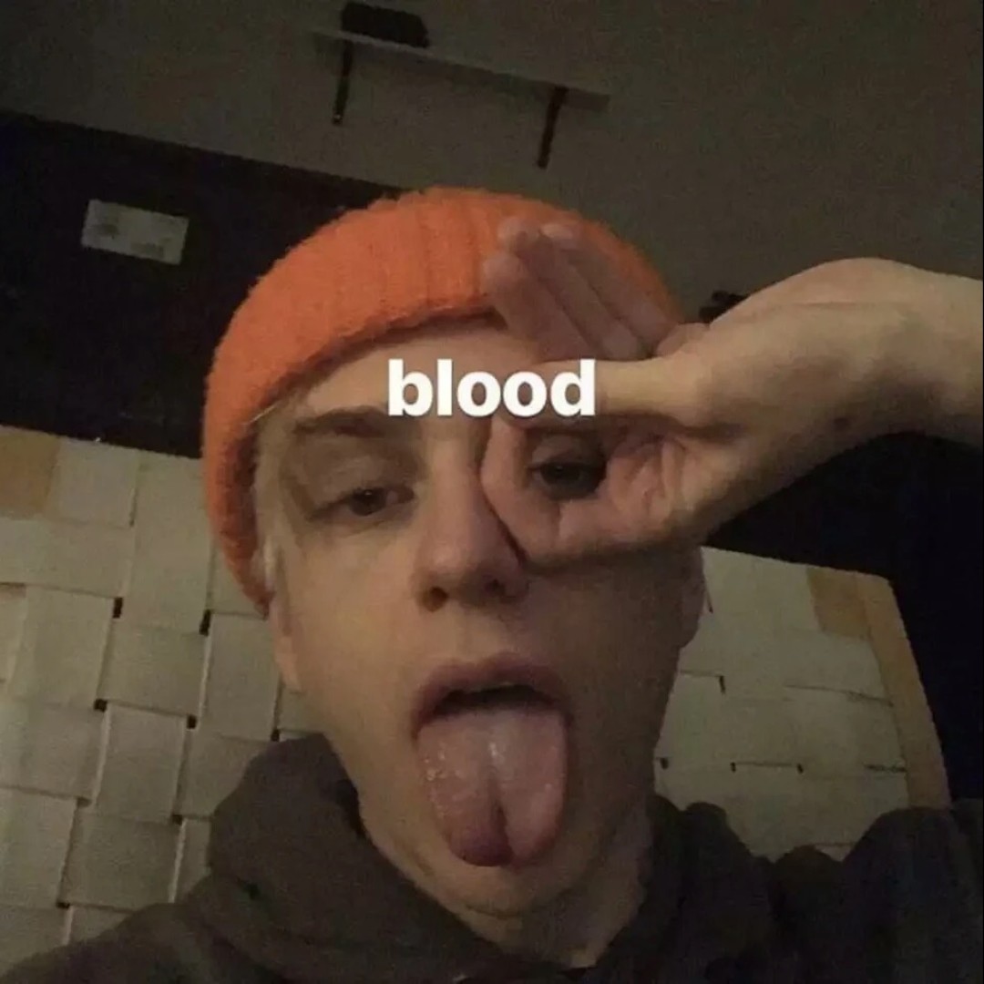 爱吃桂花藕粉的小西