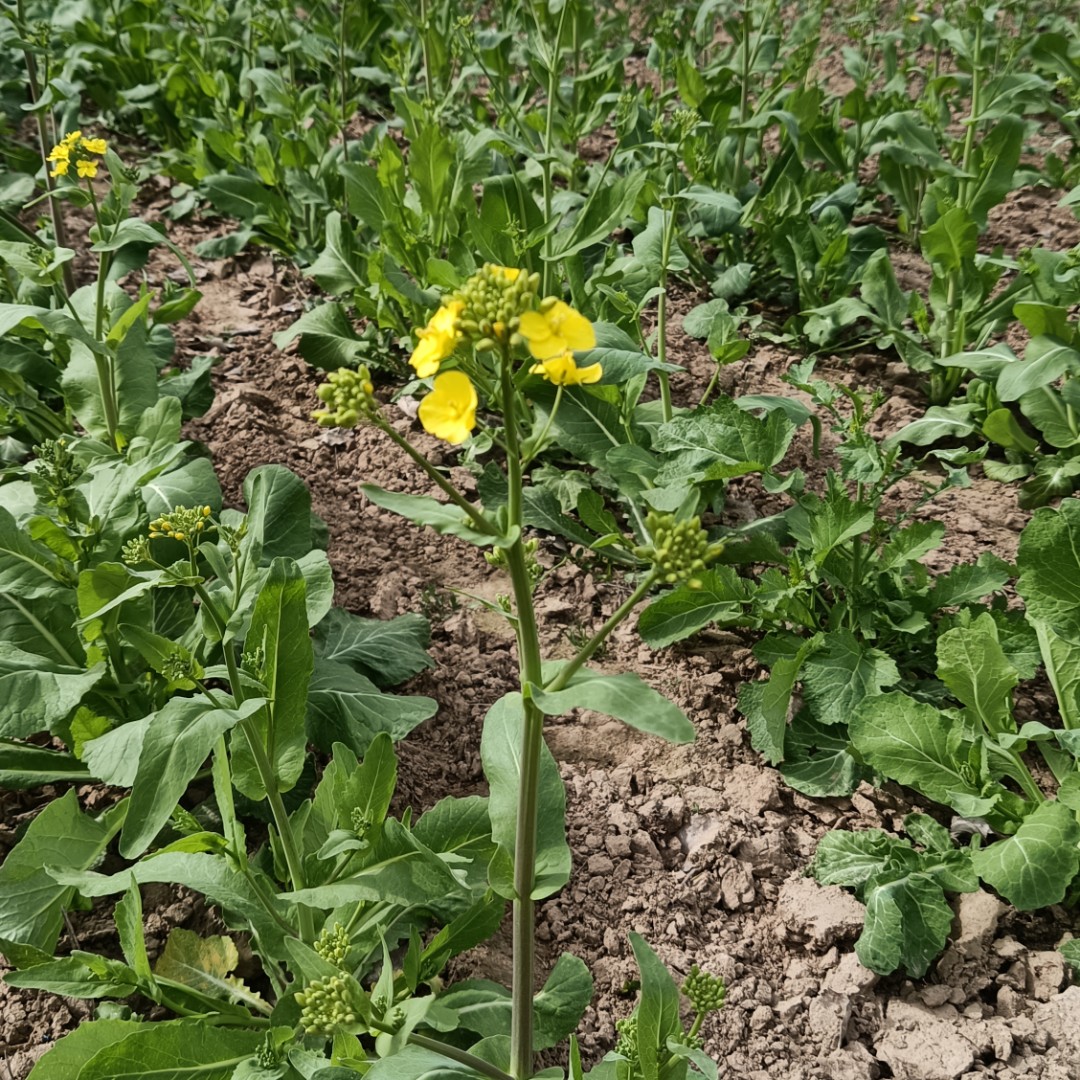 不一样的你最体贴