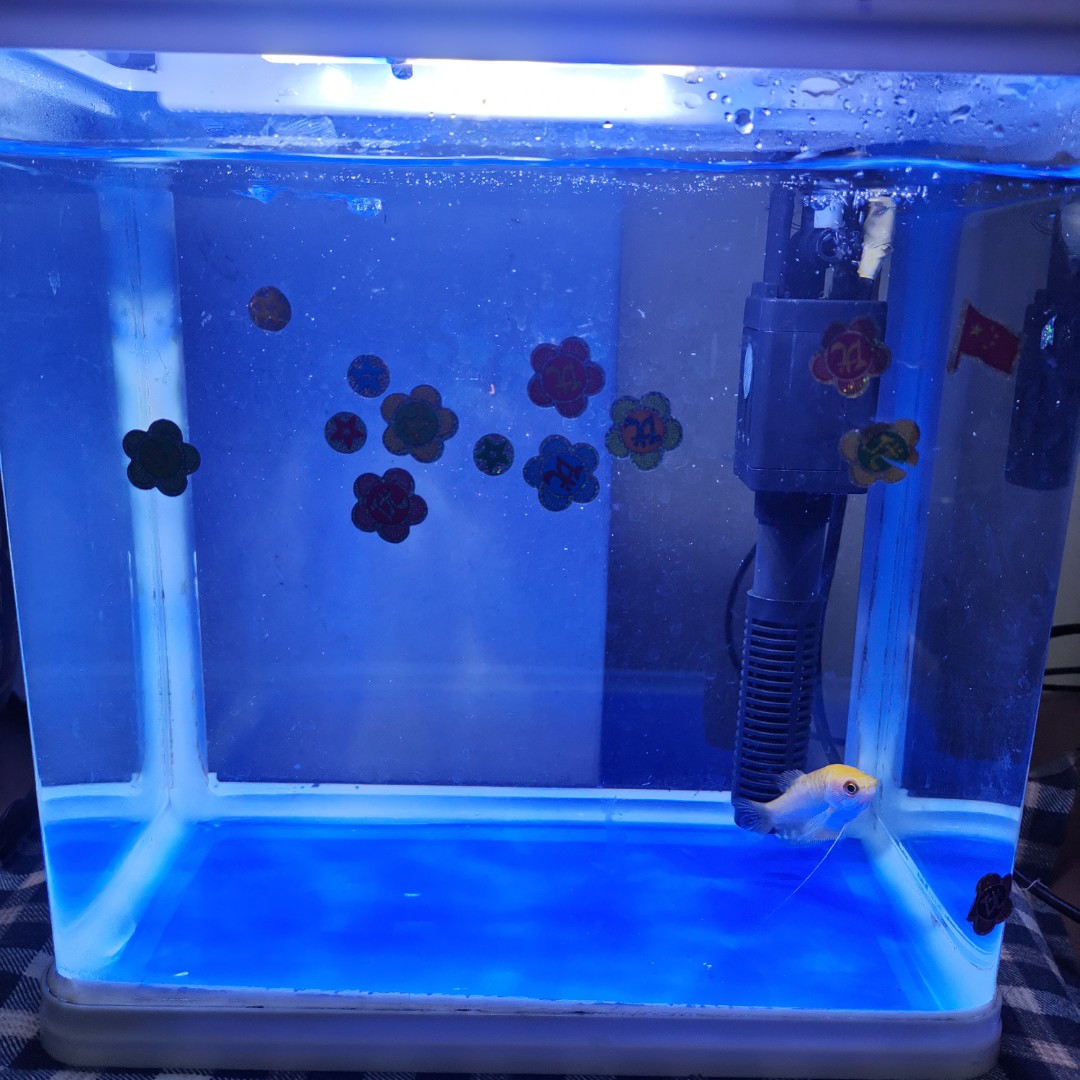 0456口大口大口大