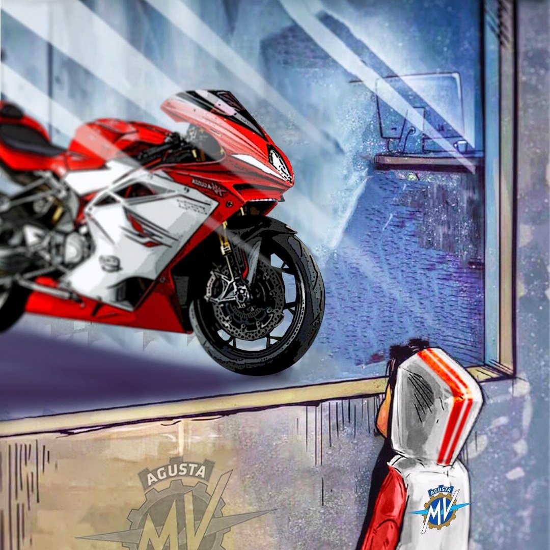 绿色的三亚乌药