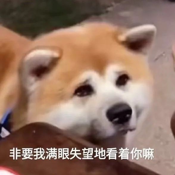 你给我好好想想！