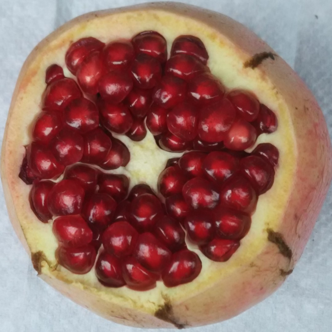 冬天的太阳很体贴