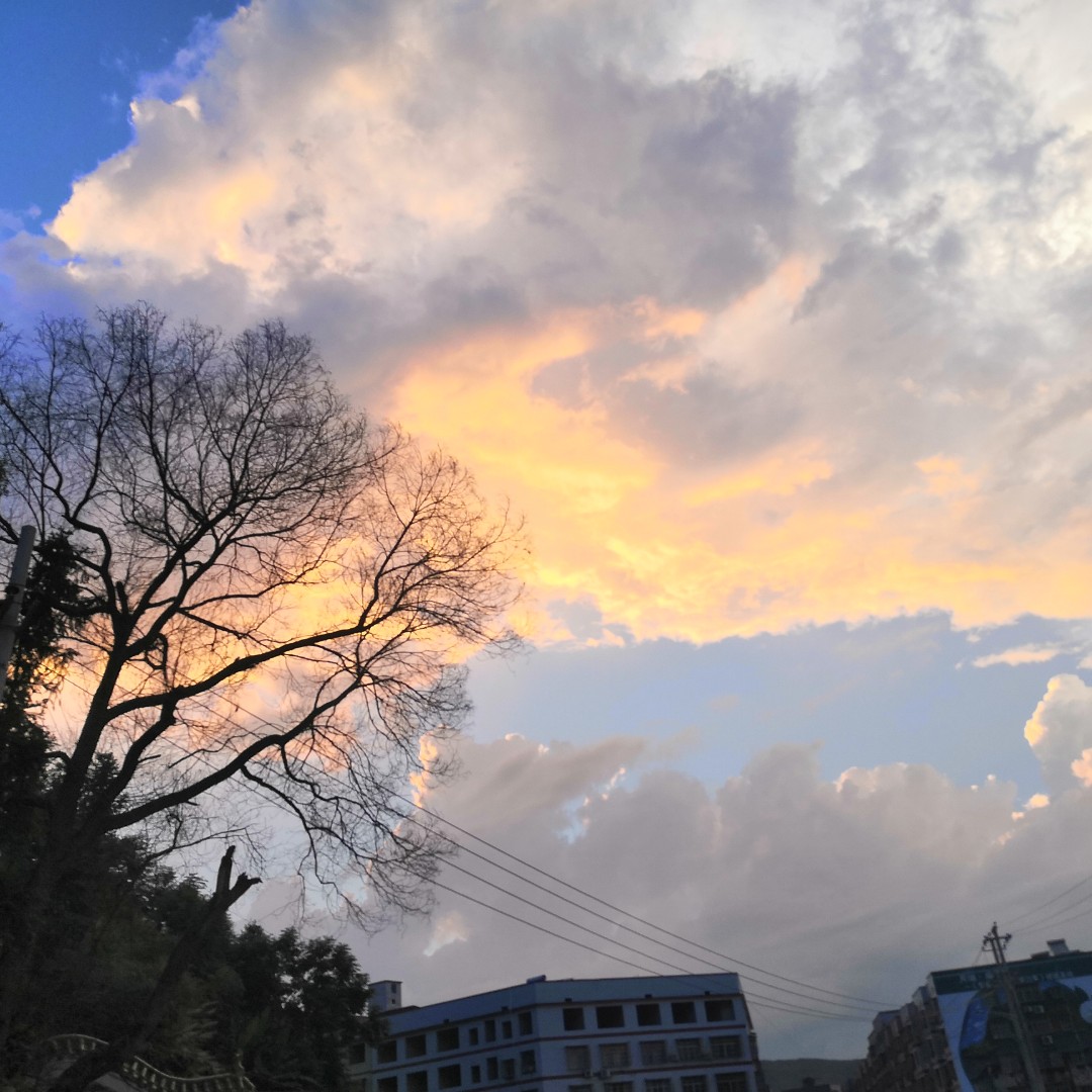 爱吃果仁凉糕的哒哒哒