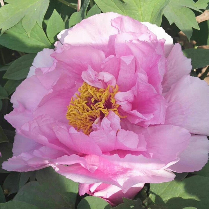 知己知彼的你我