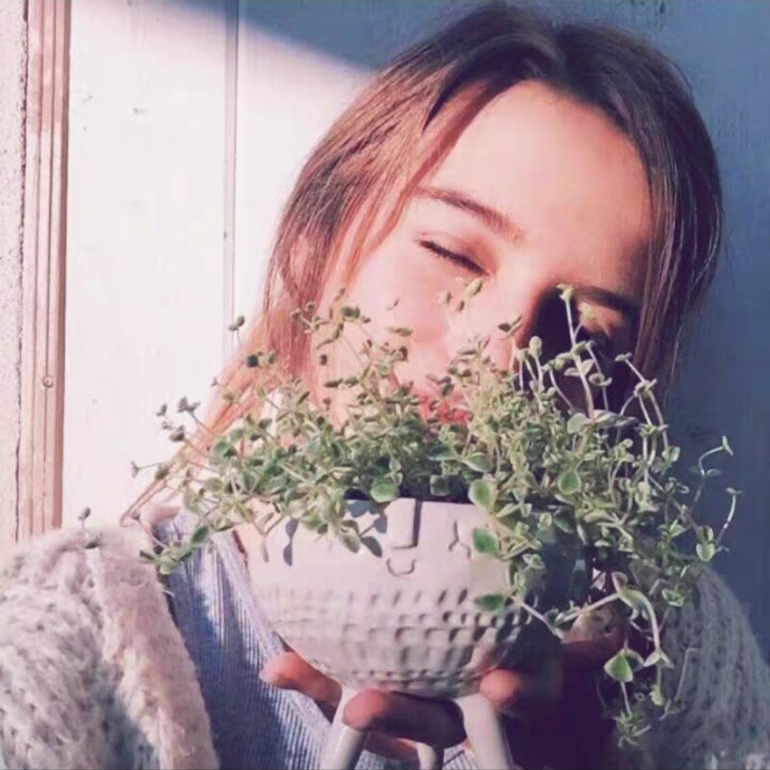 爱吃菊叶蛋汤的溏心蛋