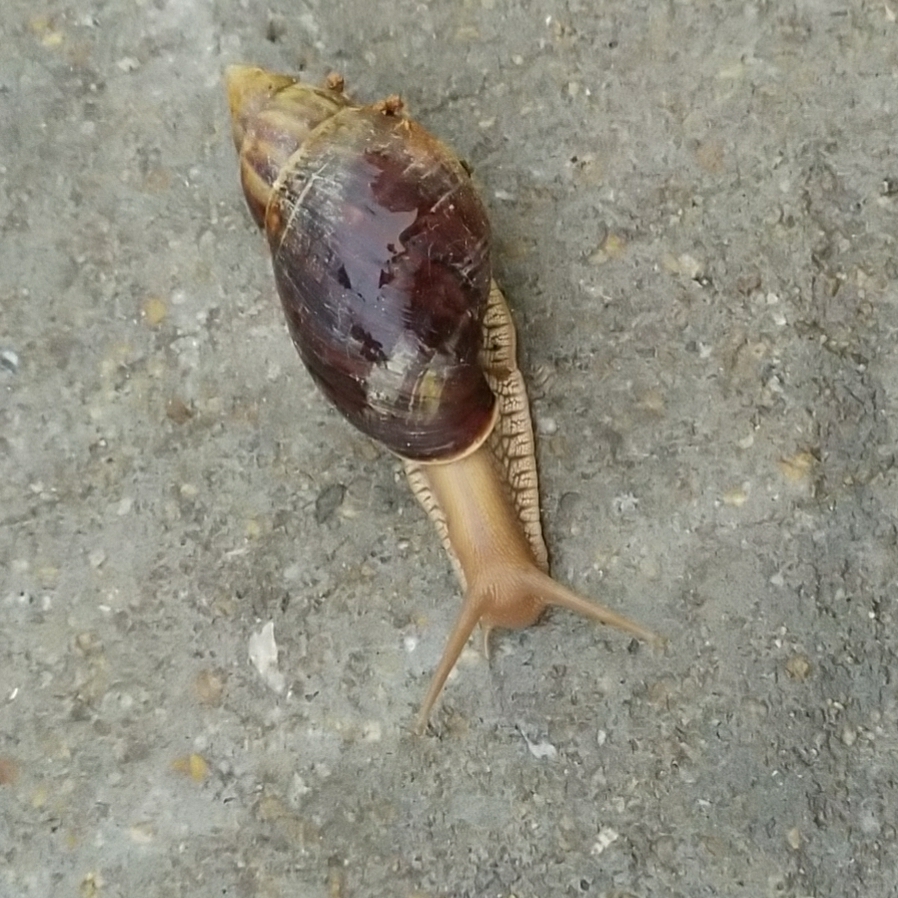 在远方相遇的可能