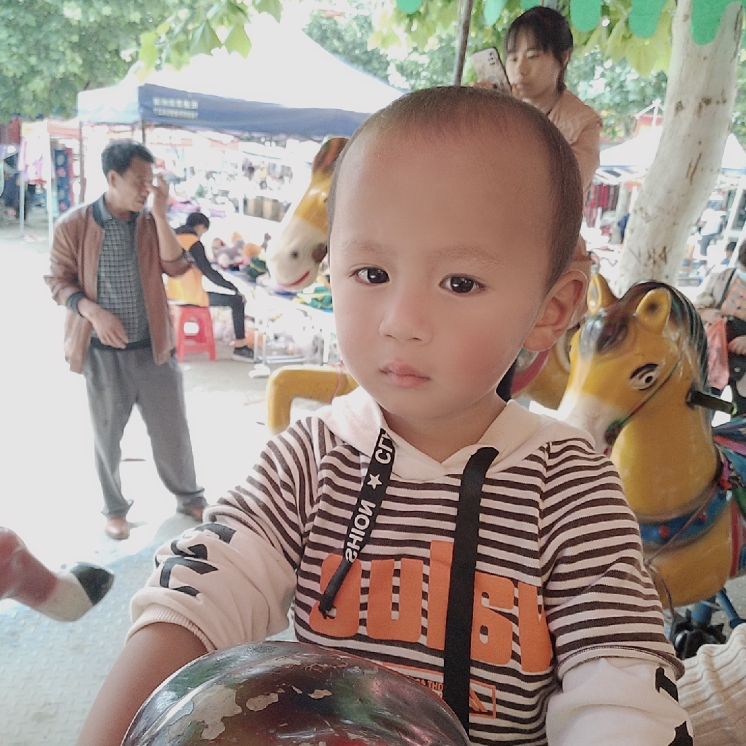 爱吃酸梅酱鹅的蛋挞