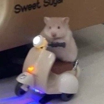 樱花树下麻里72