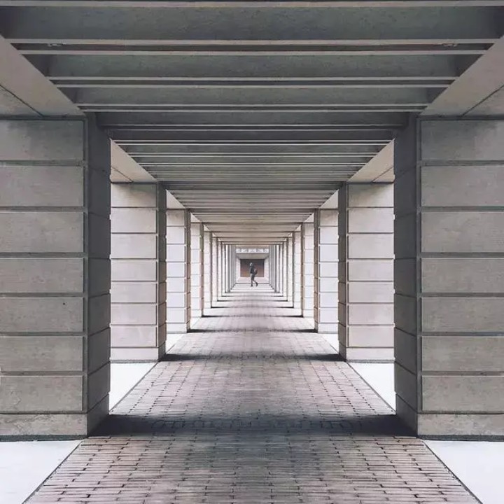 爱吃泡面的社长