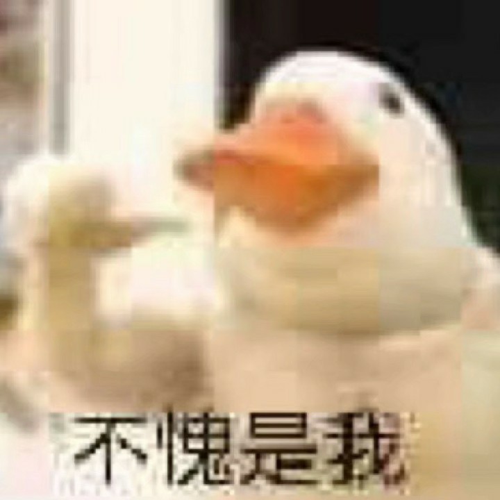 -快乐小鸭