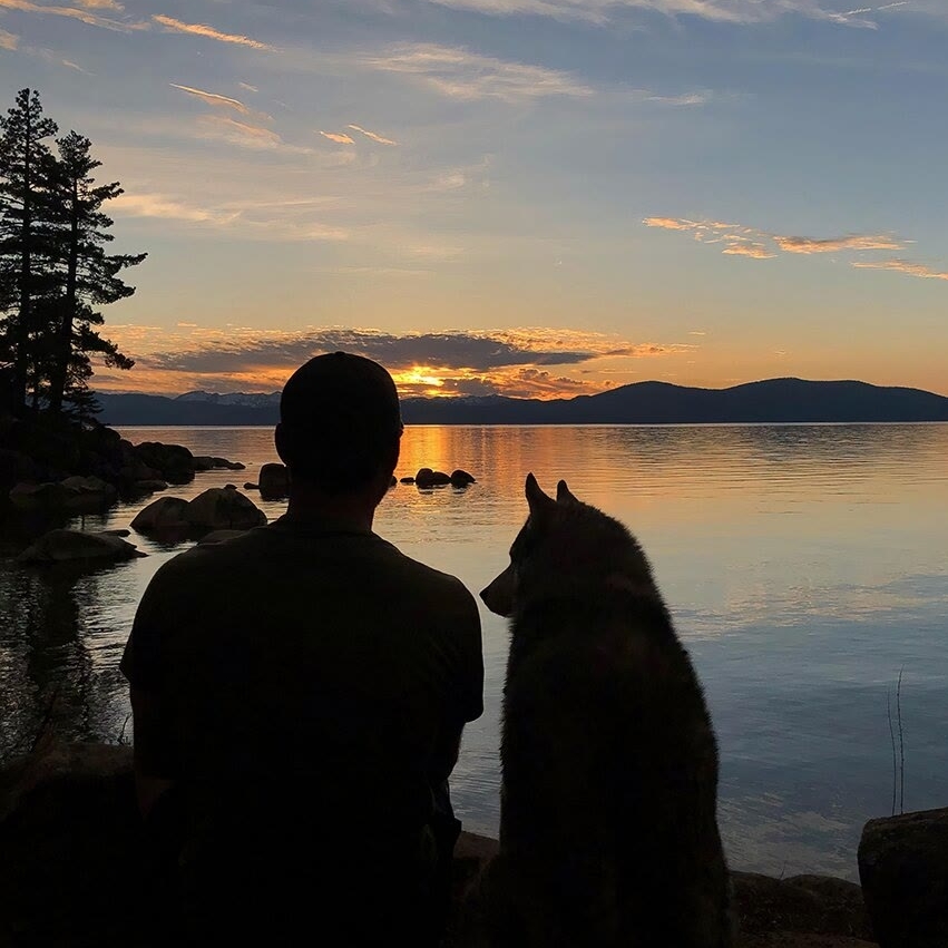 万物不及周星驰