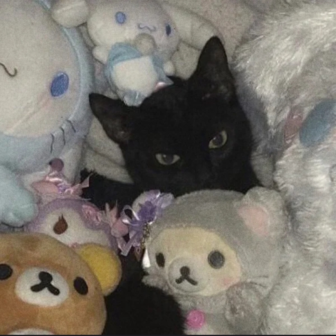 像素反应堆公主