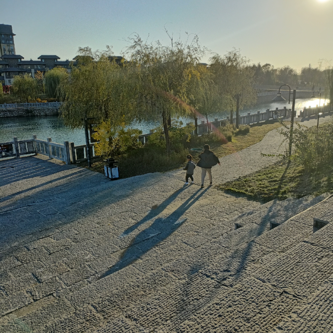 雨送黄昏花易落