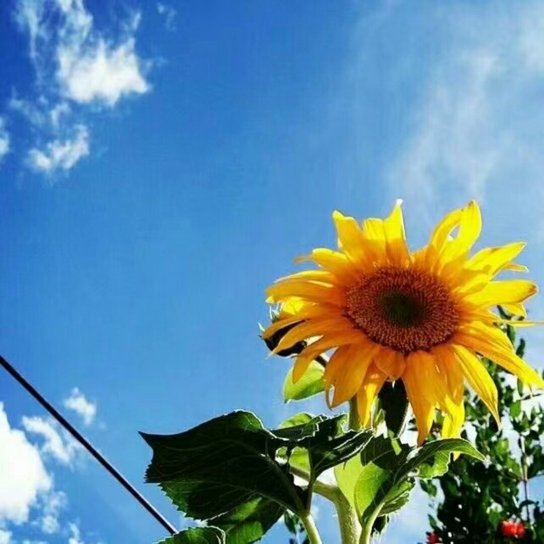 哎呀我去雨啦啦