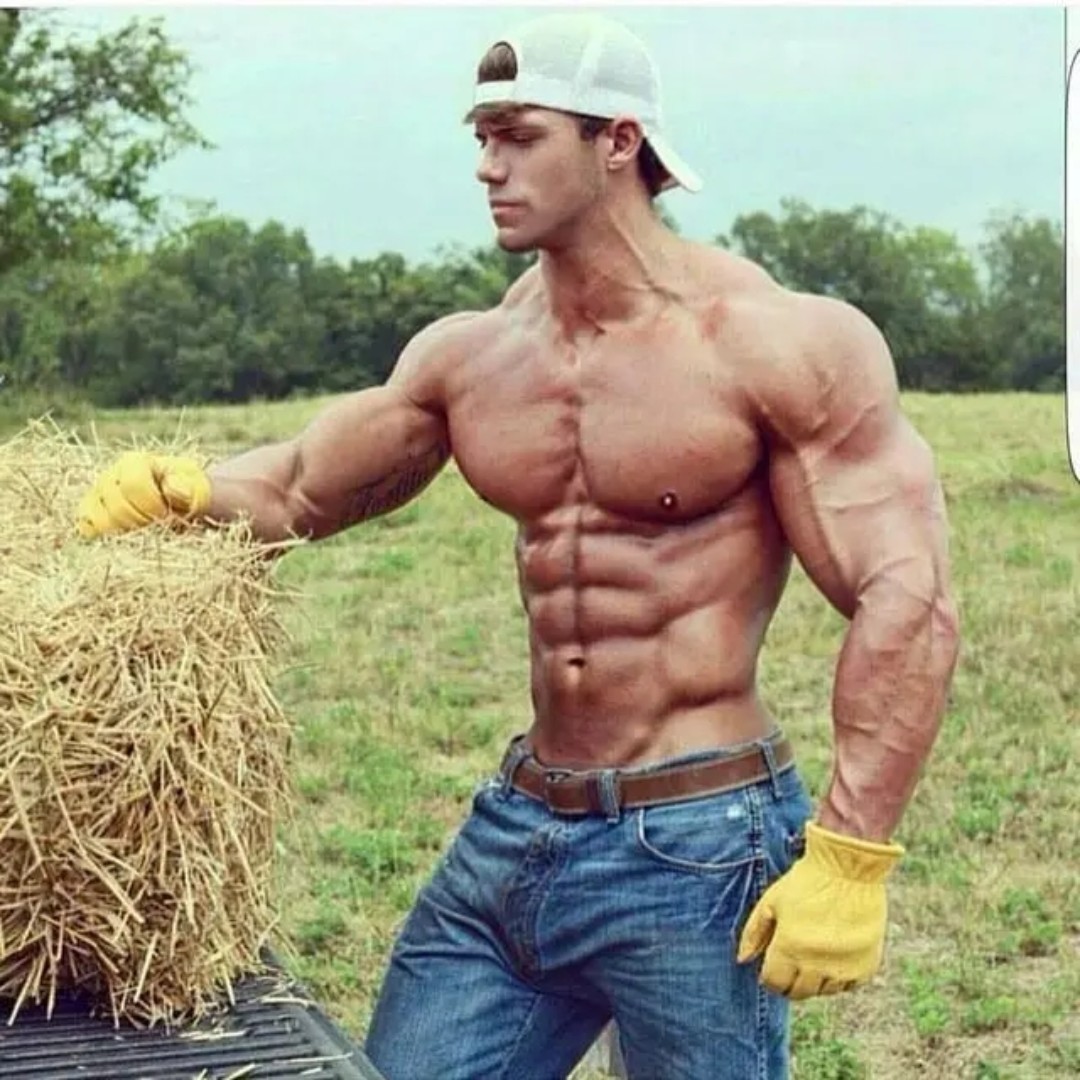 混乱之守序会唱歌